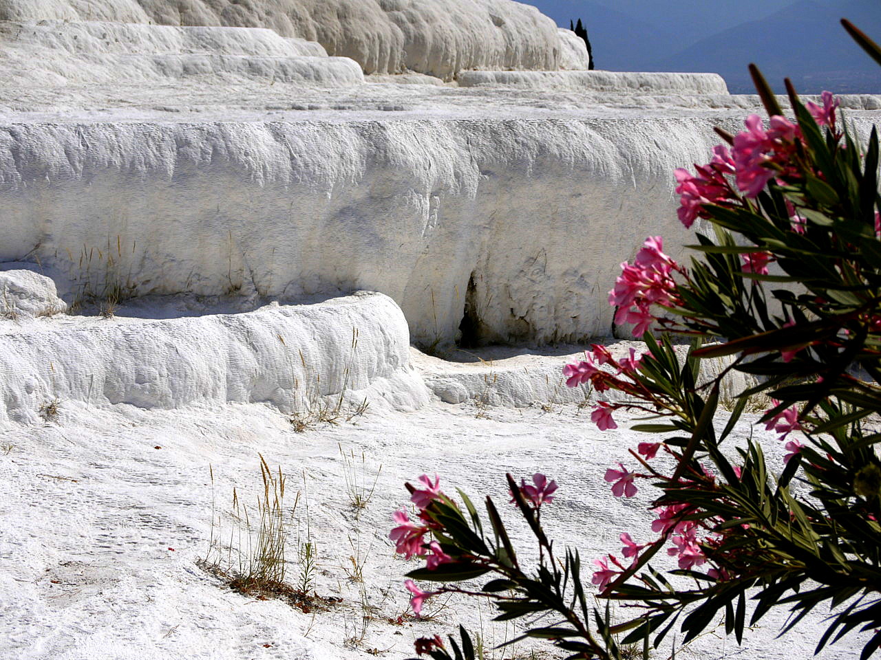The calcium travertines at Pamukkale